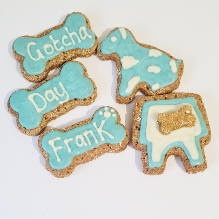 Gotcha day dog cake - Blue