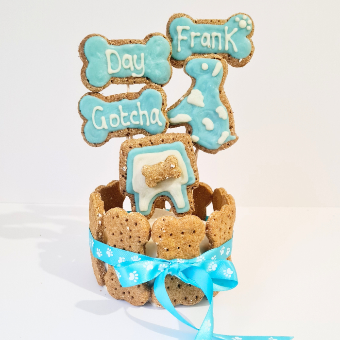 Gotcha day dog cake - Blue