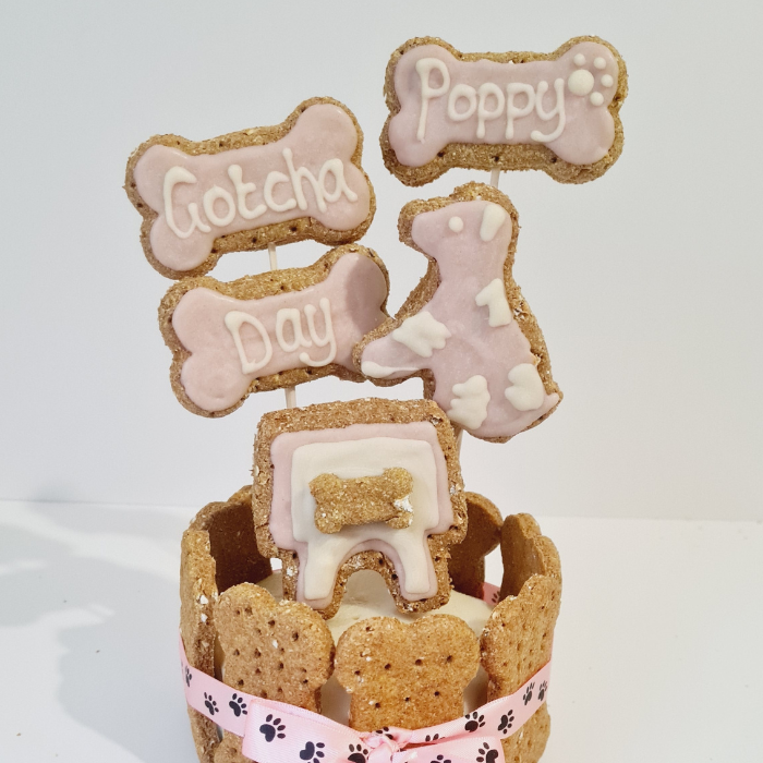 Gotcha day dog cake - pink