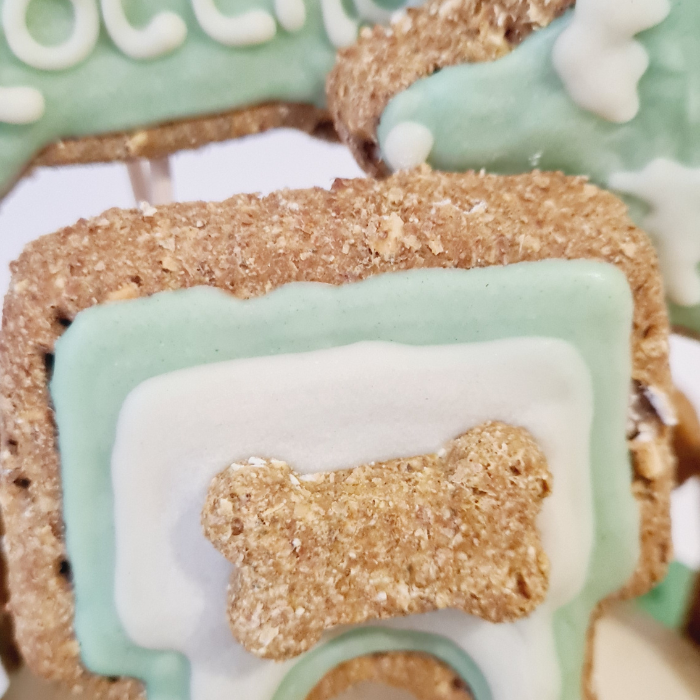 Gotcha day dog cake - Green