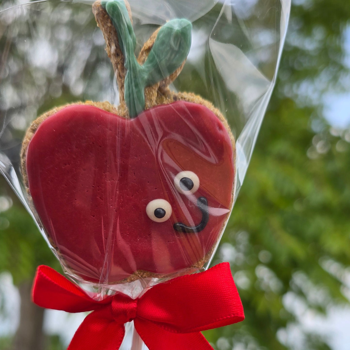 Red apple shaped cookie with a face on a stick, wrapped in clear cellophane with a red ribbon, held against a blurred outdoor background.