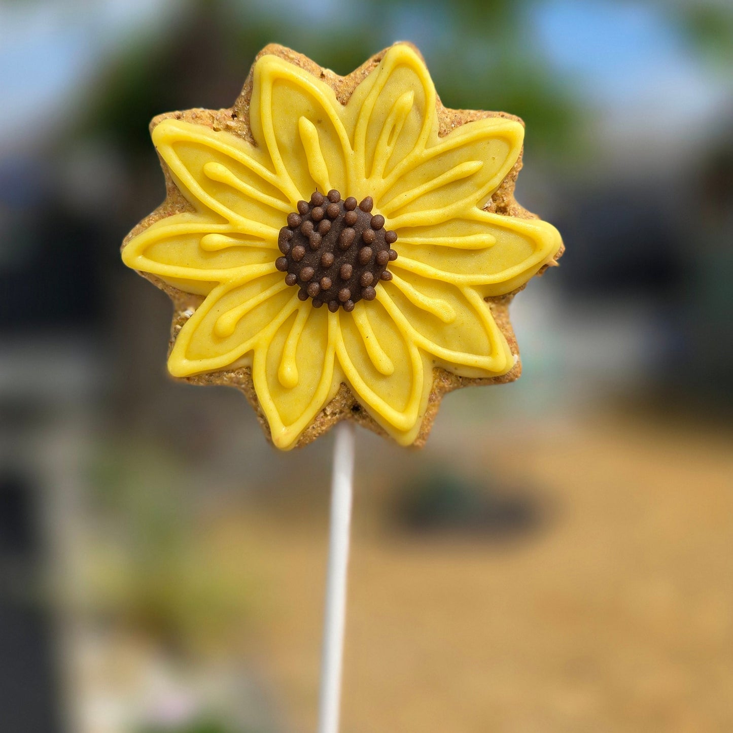 Yellow flower-shaped cookie on a stick with a blurred outdoor background