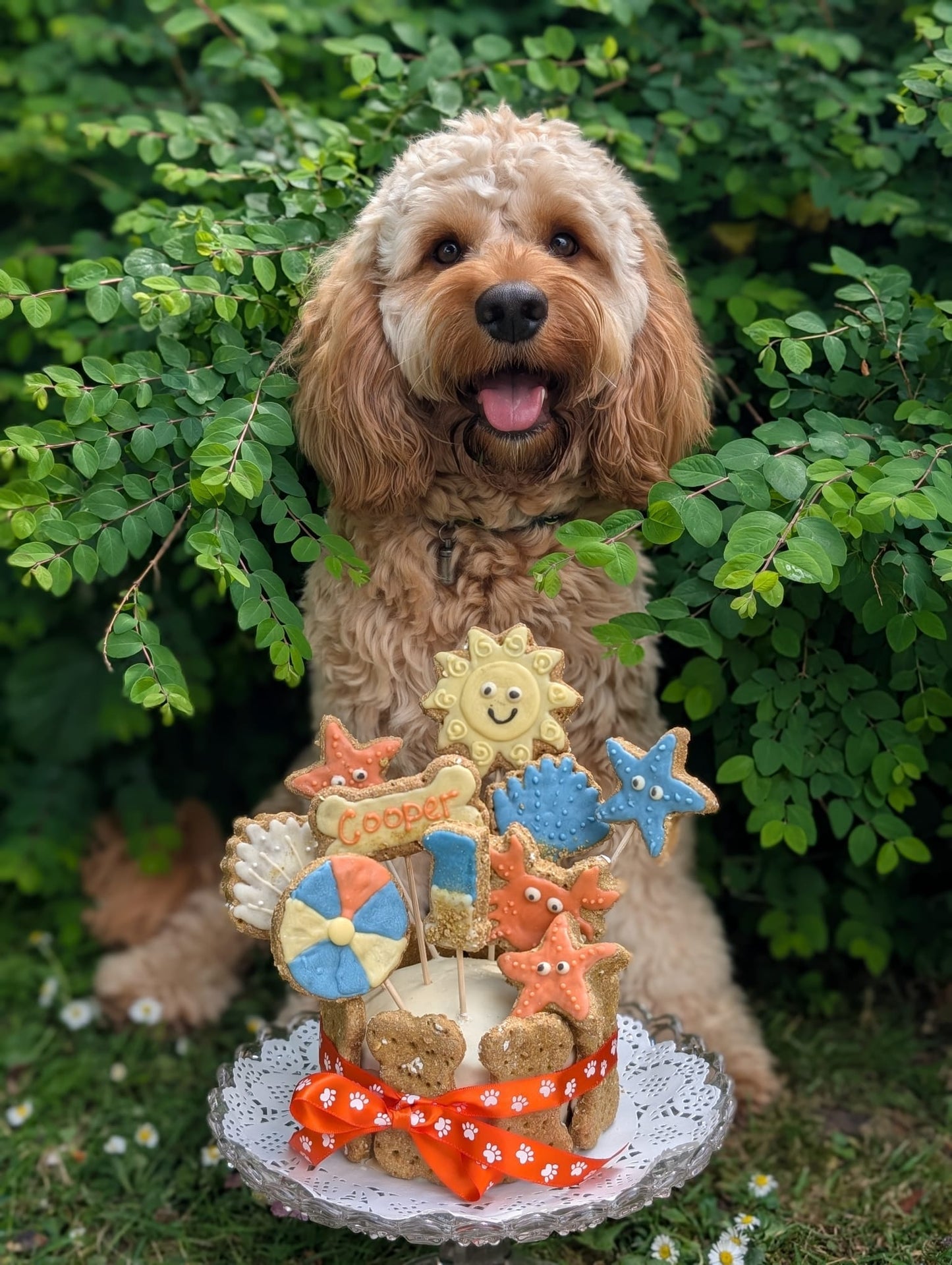 Custom Cake