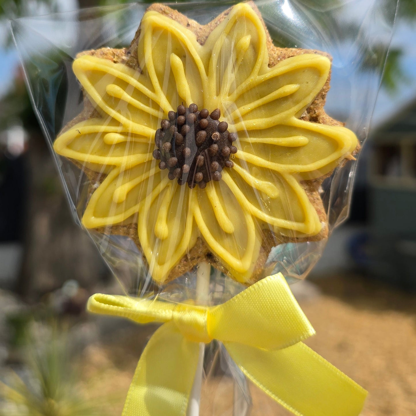 Yellow flower-shaped cookie on a stick with a clear wrapper outdoors.