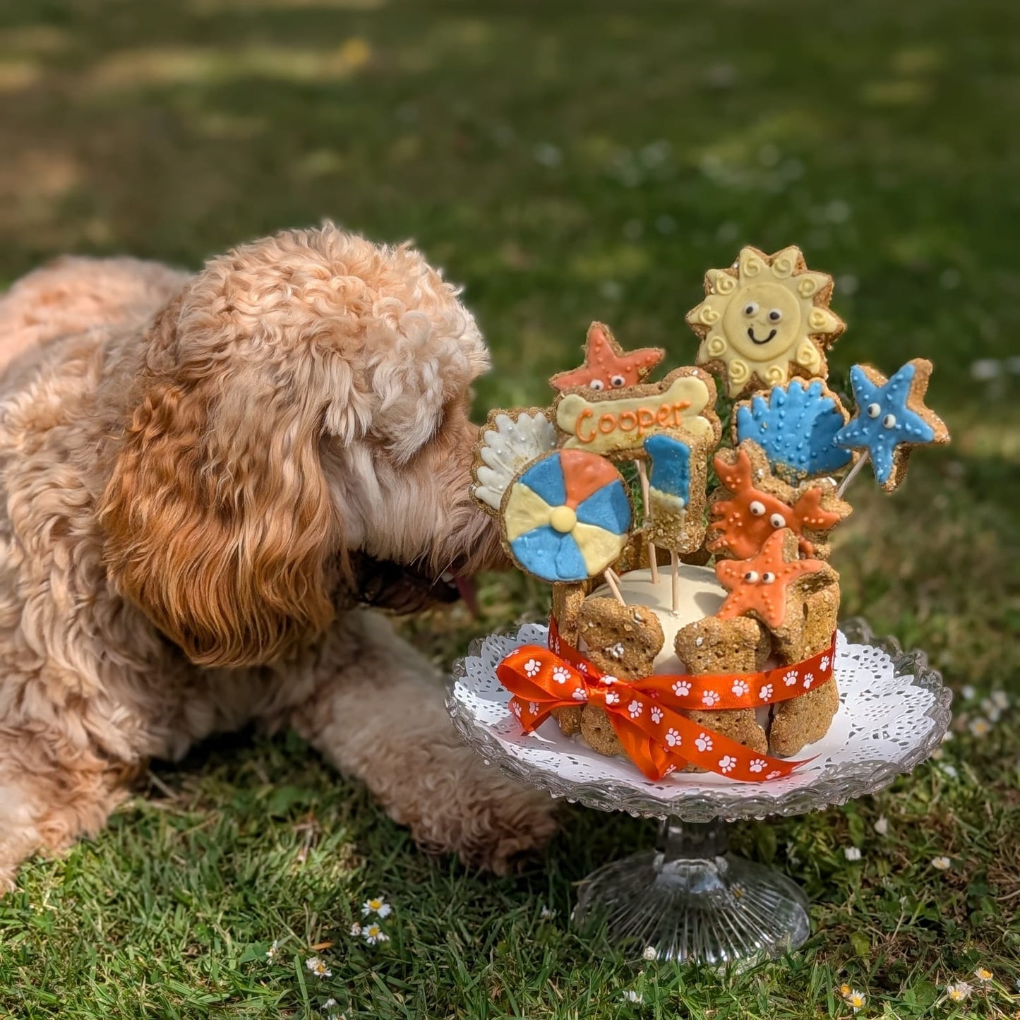 Custom Cake