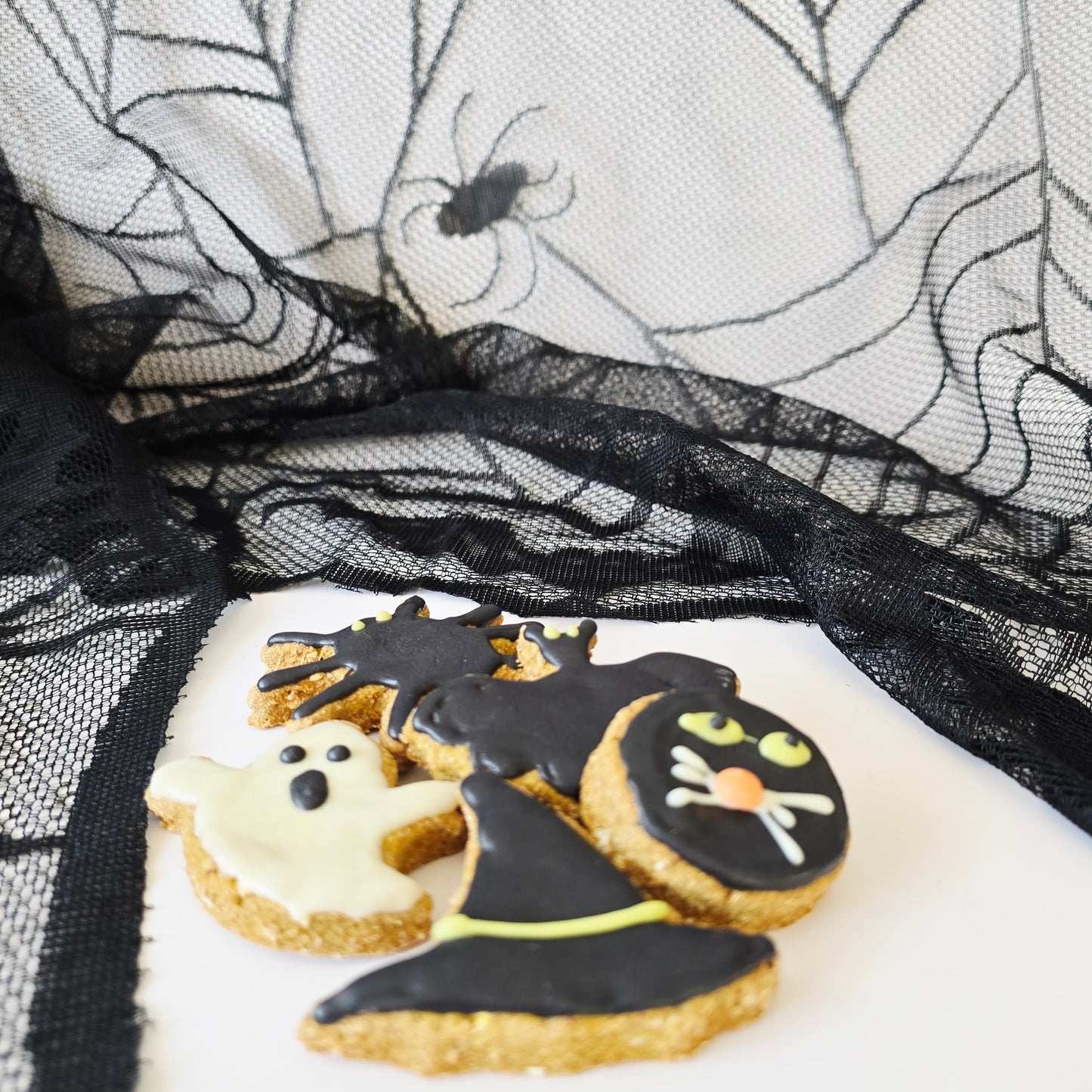 Halloween Dog treat box