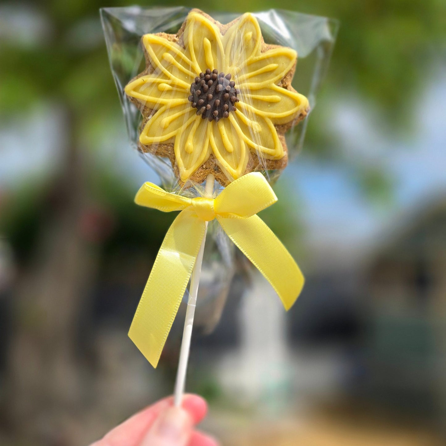 Hand holding a cookie on a stick with a yellow flower design, wrapped in clear plastic against a blurred natural background.