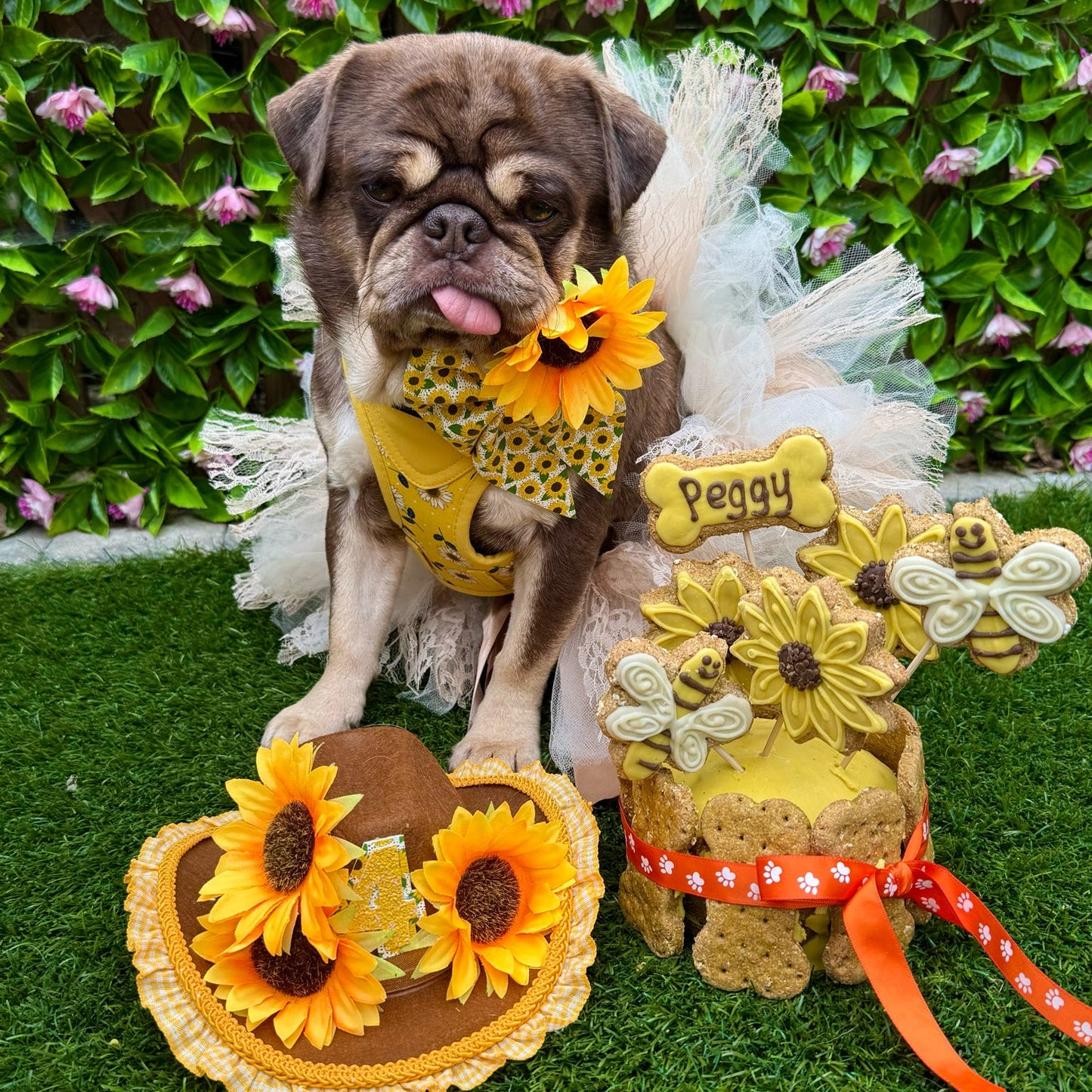 Pug dog in a sunflower-themed outfit and dog cake with accessories on grass and flowers