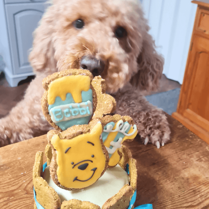 Winnie The Pooh Dog Cake