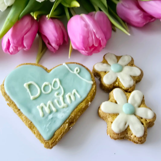 Dog Mum Treat set Blue