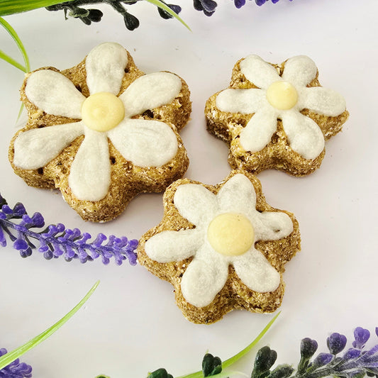 Daisy Dog treats