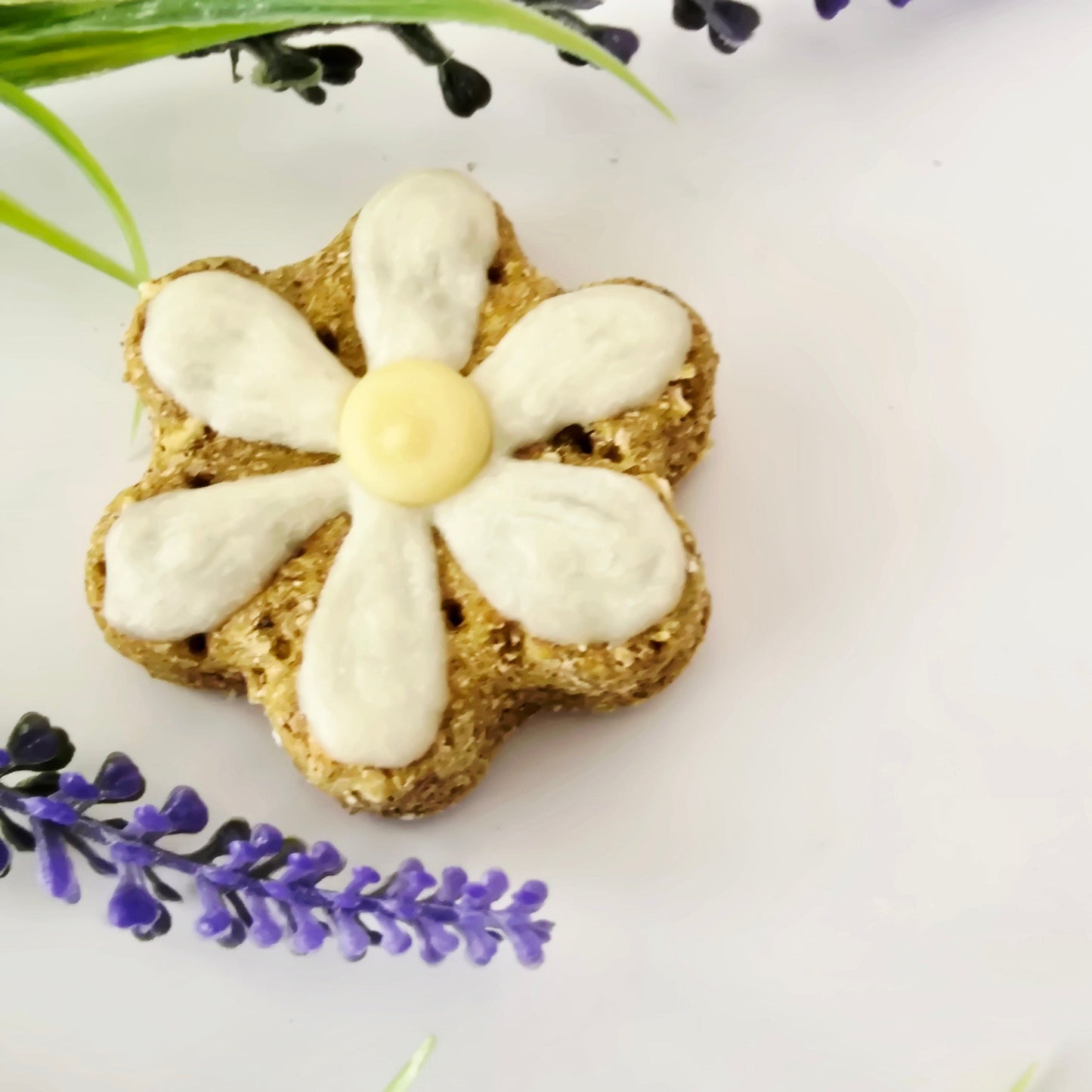 Daisy Dog treats