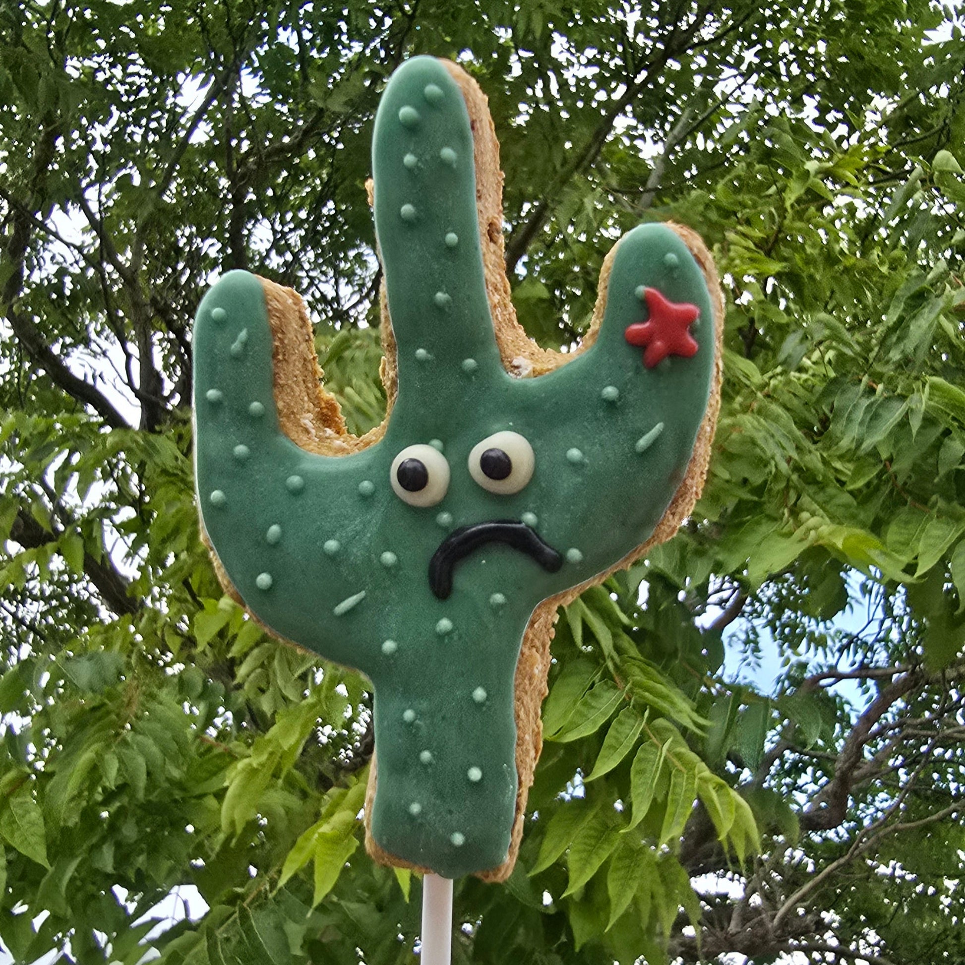 Cookie on a stick shaped like a cactus with a face against a green leafy background