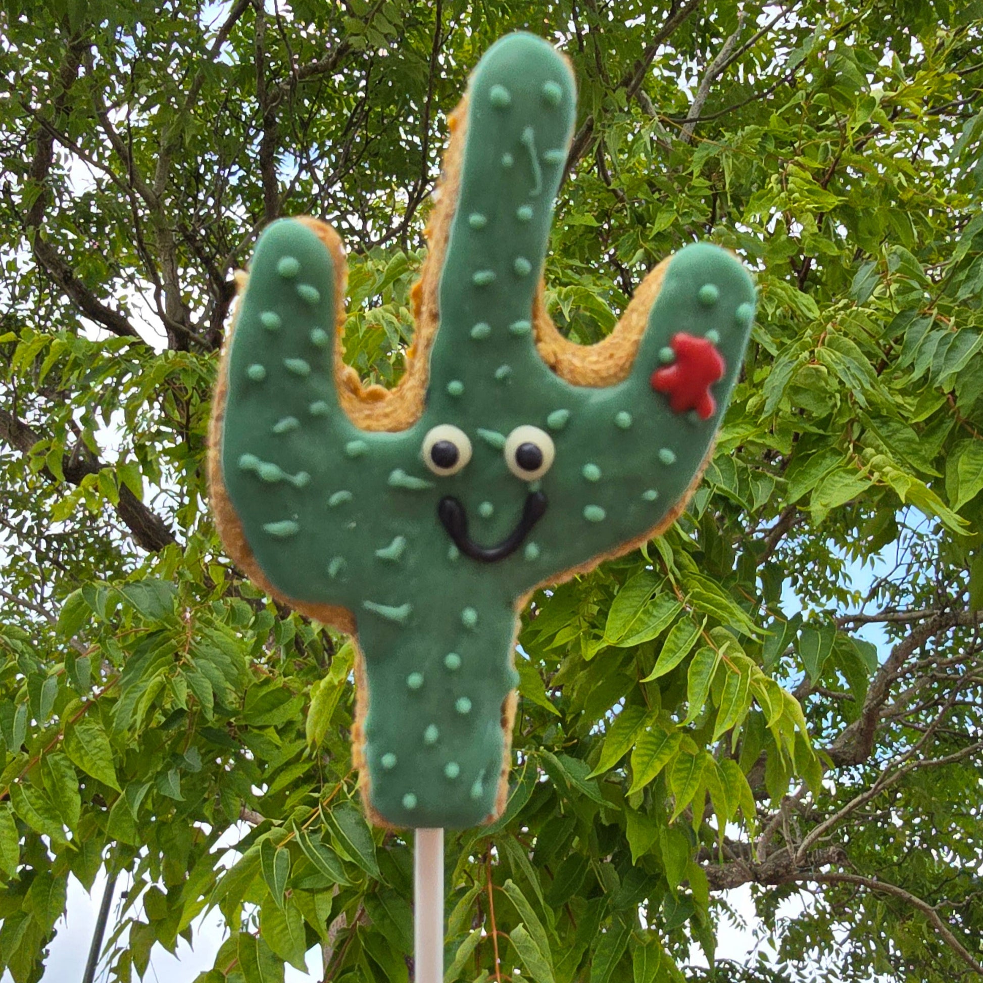 Cactus-shaped cookie on a stick with a face against a green leafy background