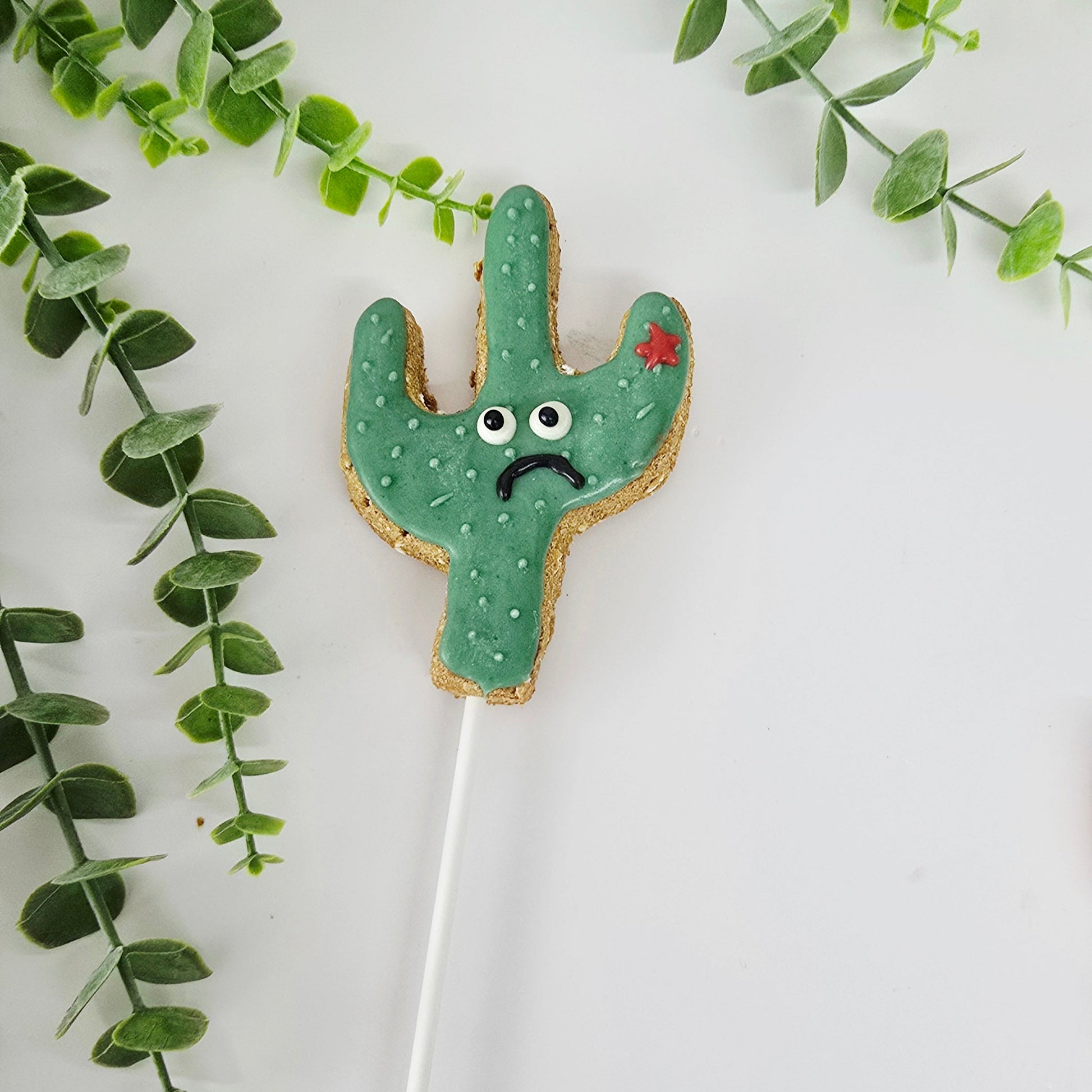 Cookie on a stick shaped like a cactus with a sad face, surrounded by green leaves on a white background