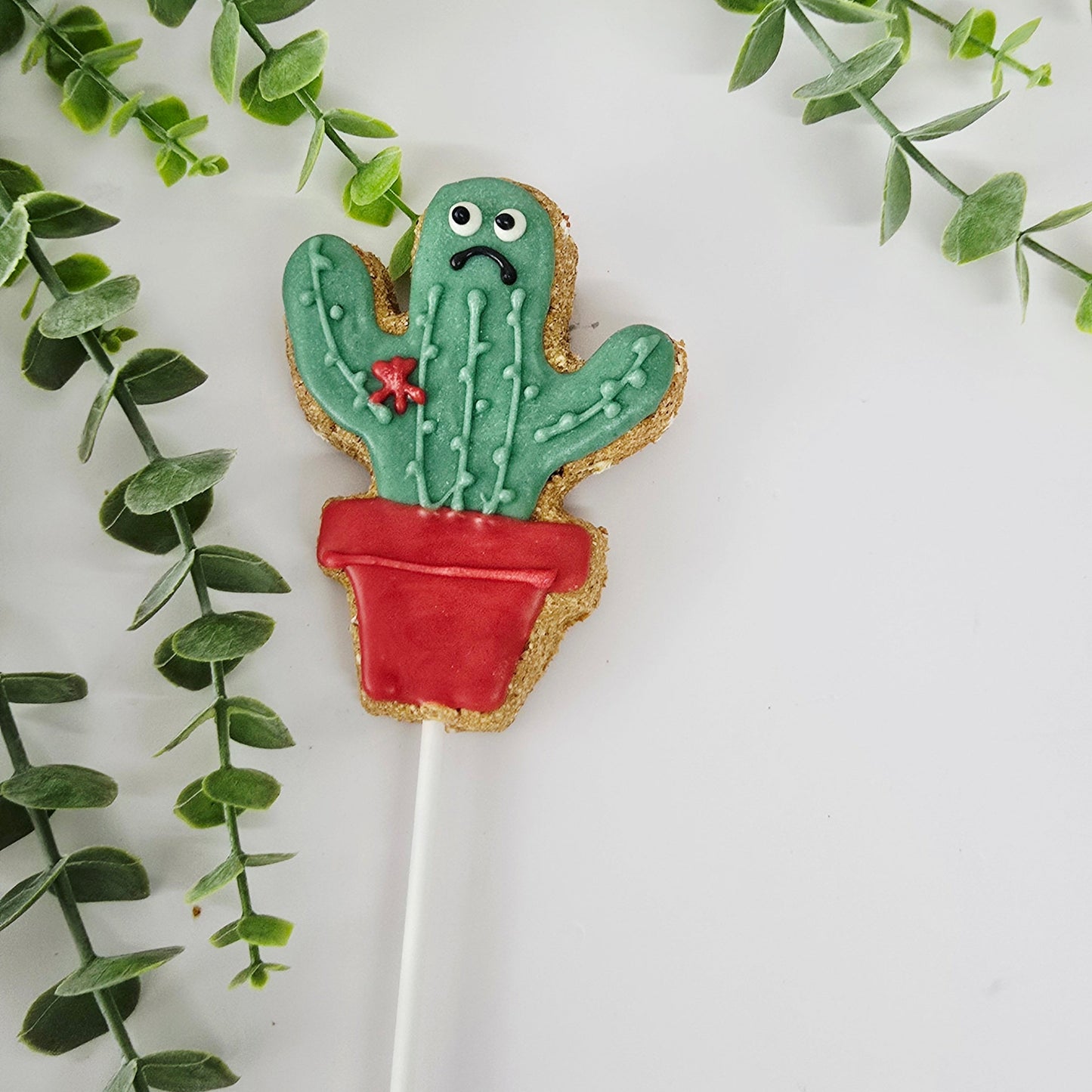 Cactus Pot pop