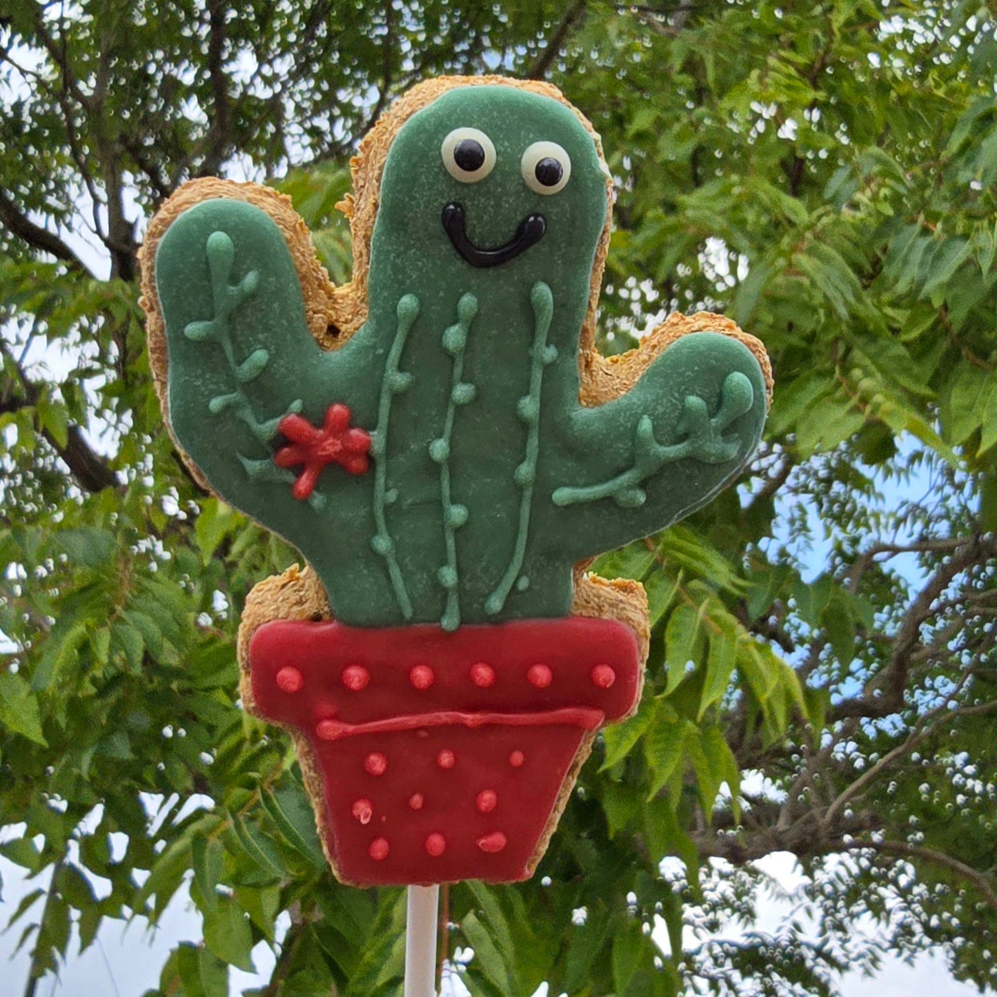 Cactus-shaped cookie on a stick with a red pot against a green leafy background