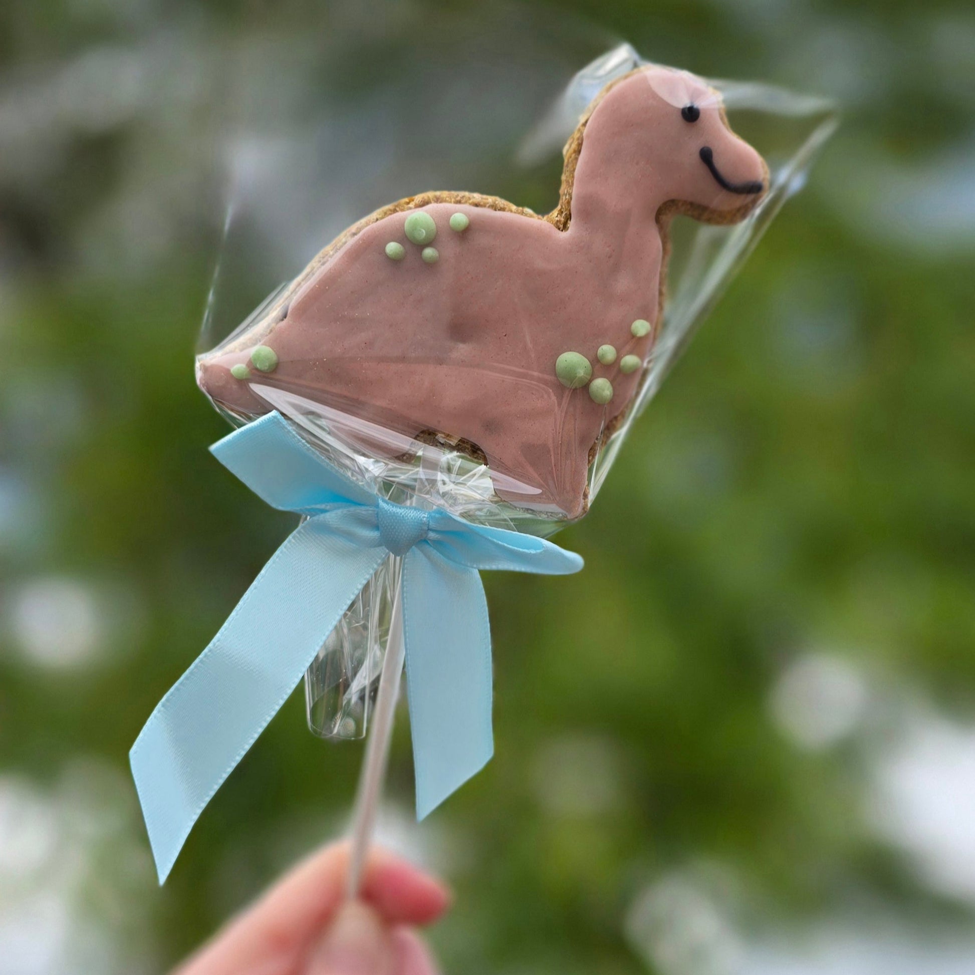 Chocolate animal-shaped lollipop with a blue ribbon held against a blurred green background