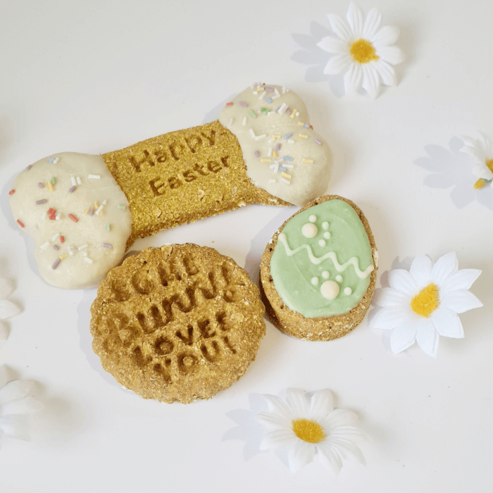 Easter Egg dog treat box