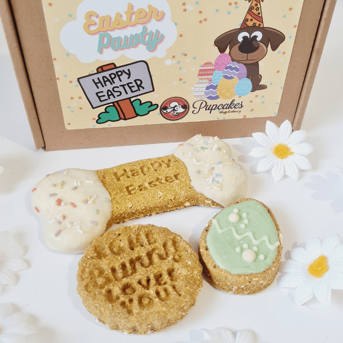 Easter Egg dog treat box