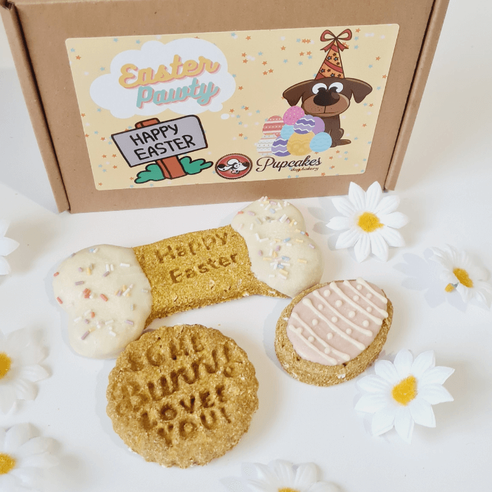 Easter Egg dog treat box