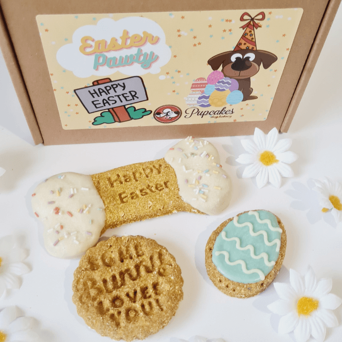 Easter Egg dog treat box