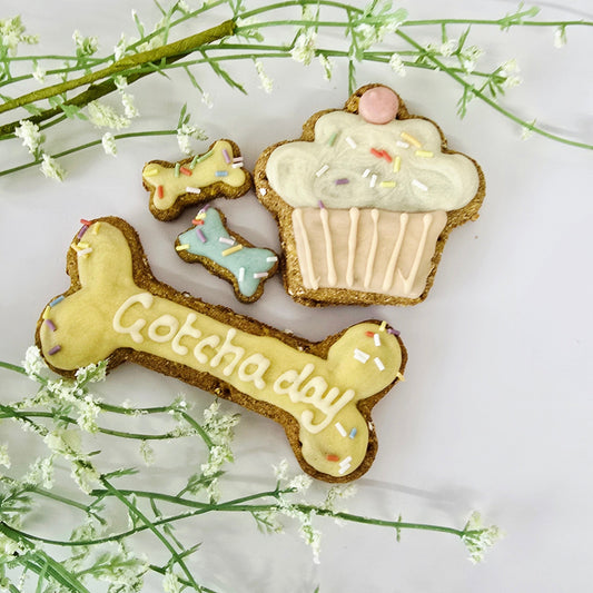 Gotcha Day Treat Set -Small