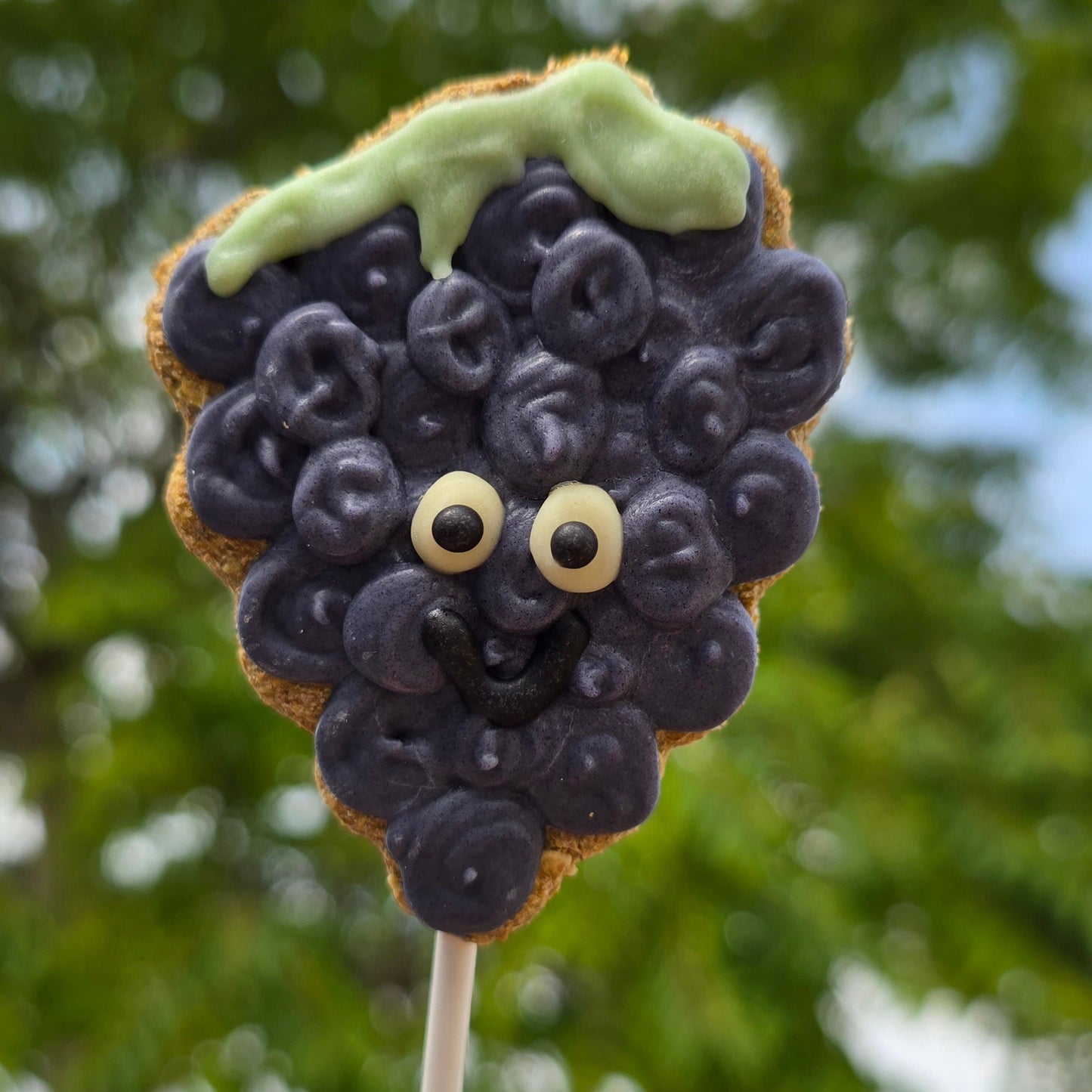 Cookie on a stick shaped like a grapes  in  purple with green icing leaves against a blurred green background