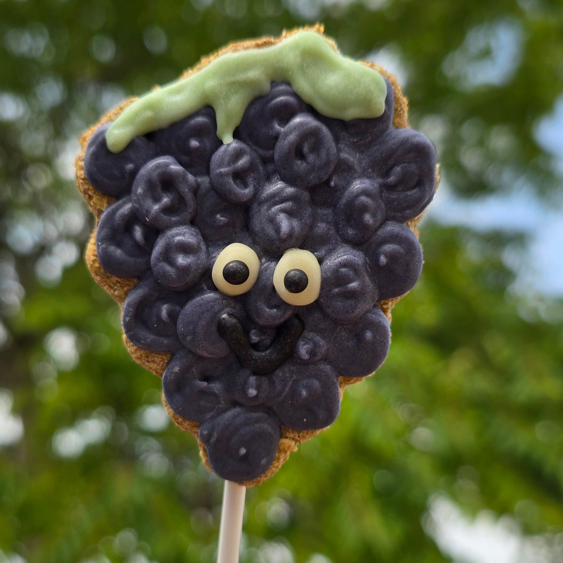 Cookie on a stick shaped like a grapes  in  purple with green icing leaves against a blurred green background