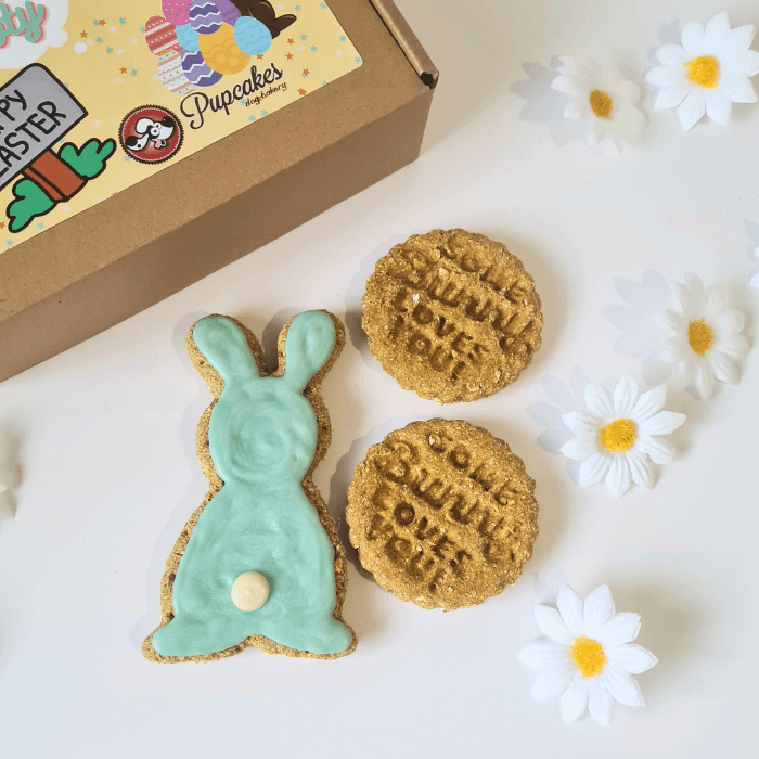 Iced Bunny gift set