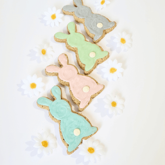 Easter Bunny Cookie