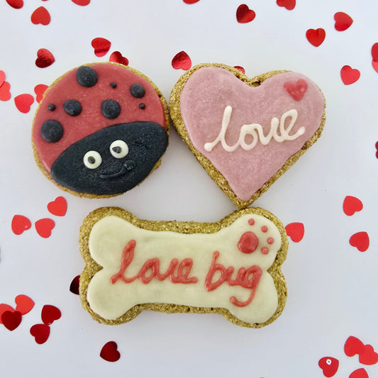 Love Bug Dog Treat set