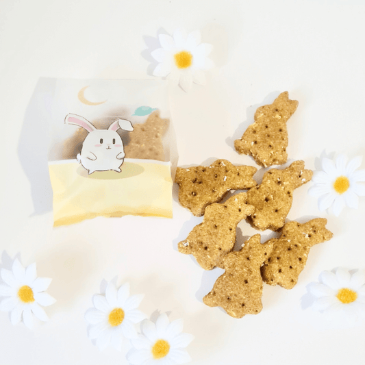 Easter Bunny Dog Treats - Beef