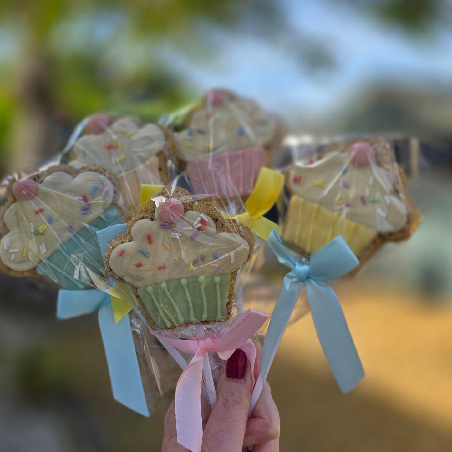 Cake Pop