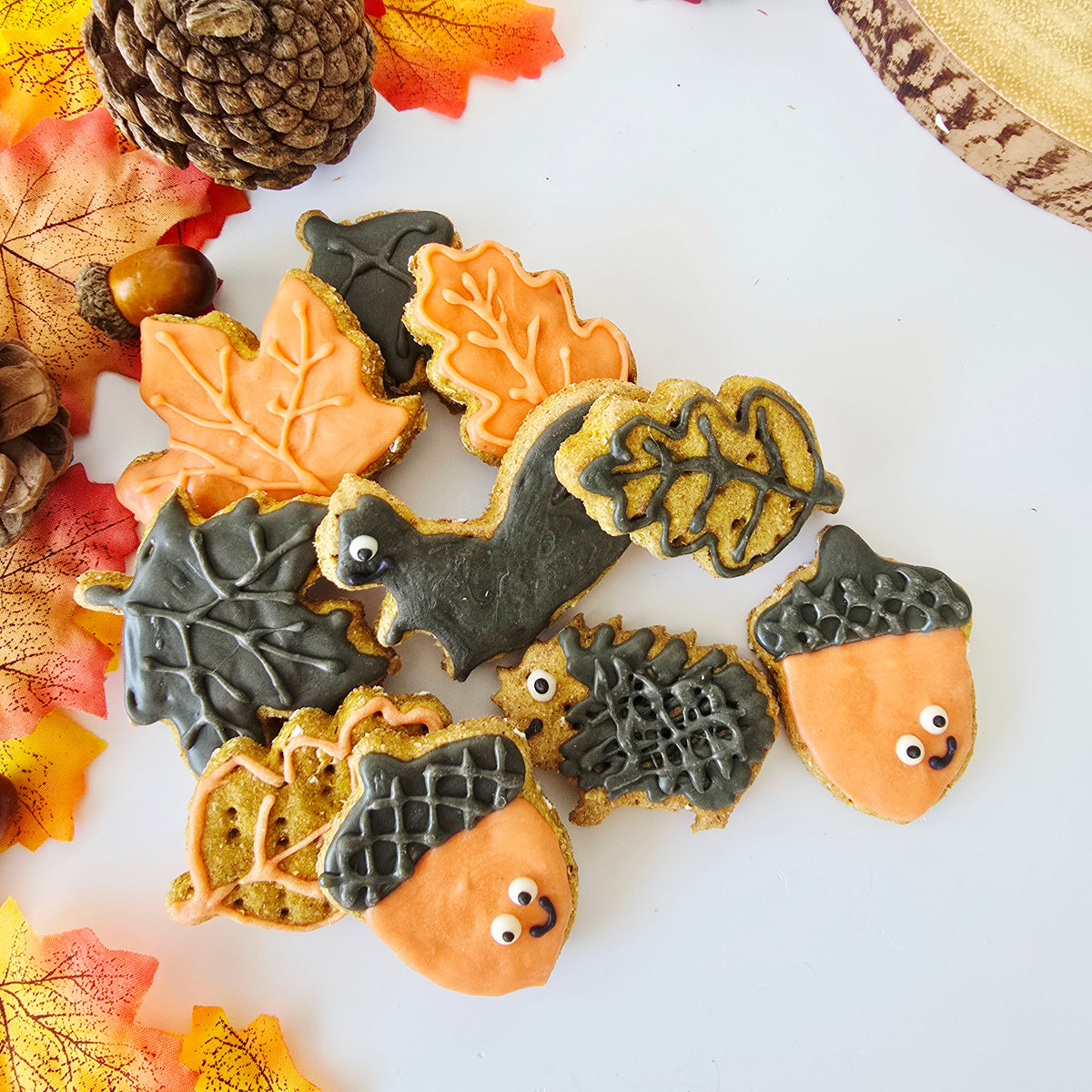 Autumn-themed carob  cookies handmade and decorated to look like acorns, a squirrel, and leaves, arranged on a white surface with pinecones and fall leaves.