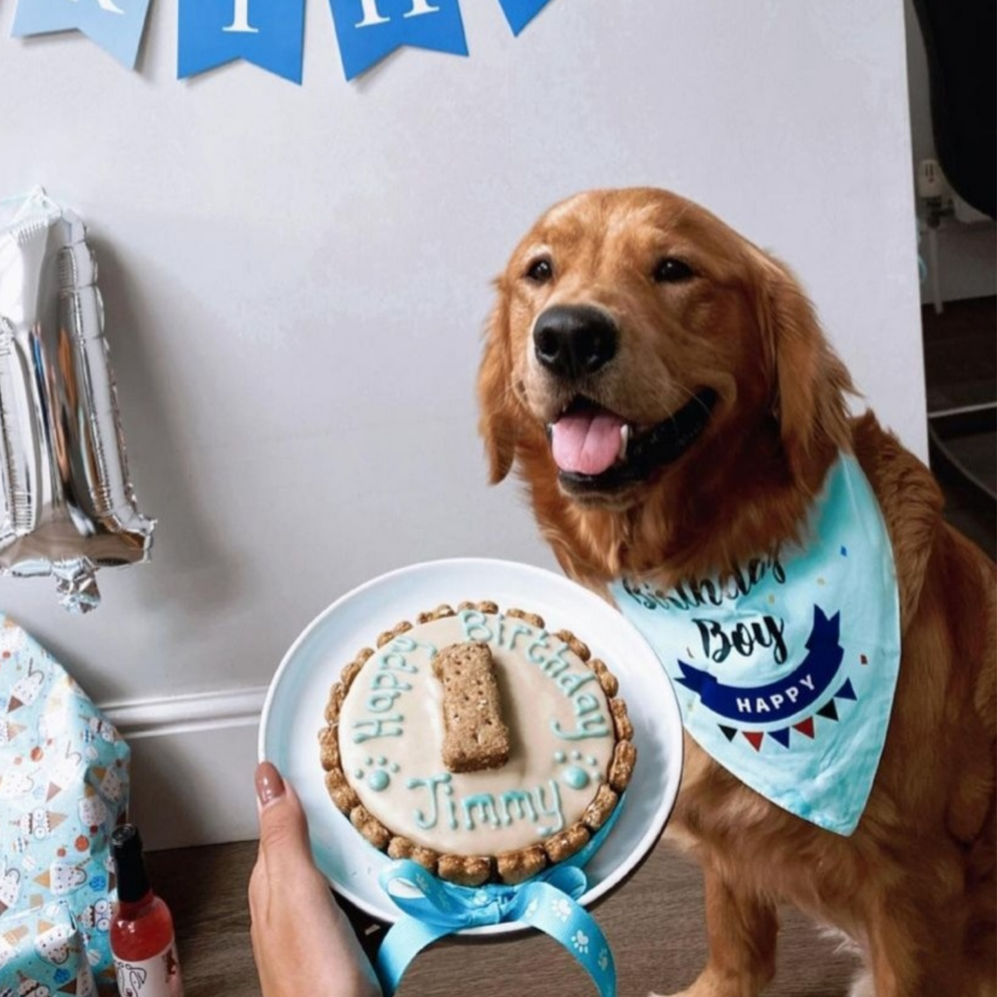 A golden retriever dog wearing a light blue bandana that says 'Fancy Boy Jimmy Happy Birthday' is shown next to a person holding a decorated birthday pupcake on a plate. The scene is set indoors against a white wall with blue bunting.Its a dogs party