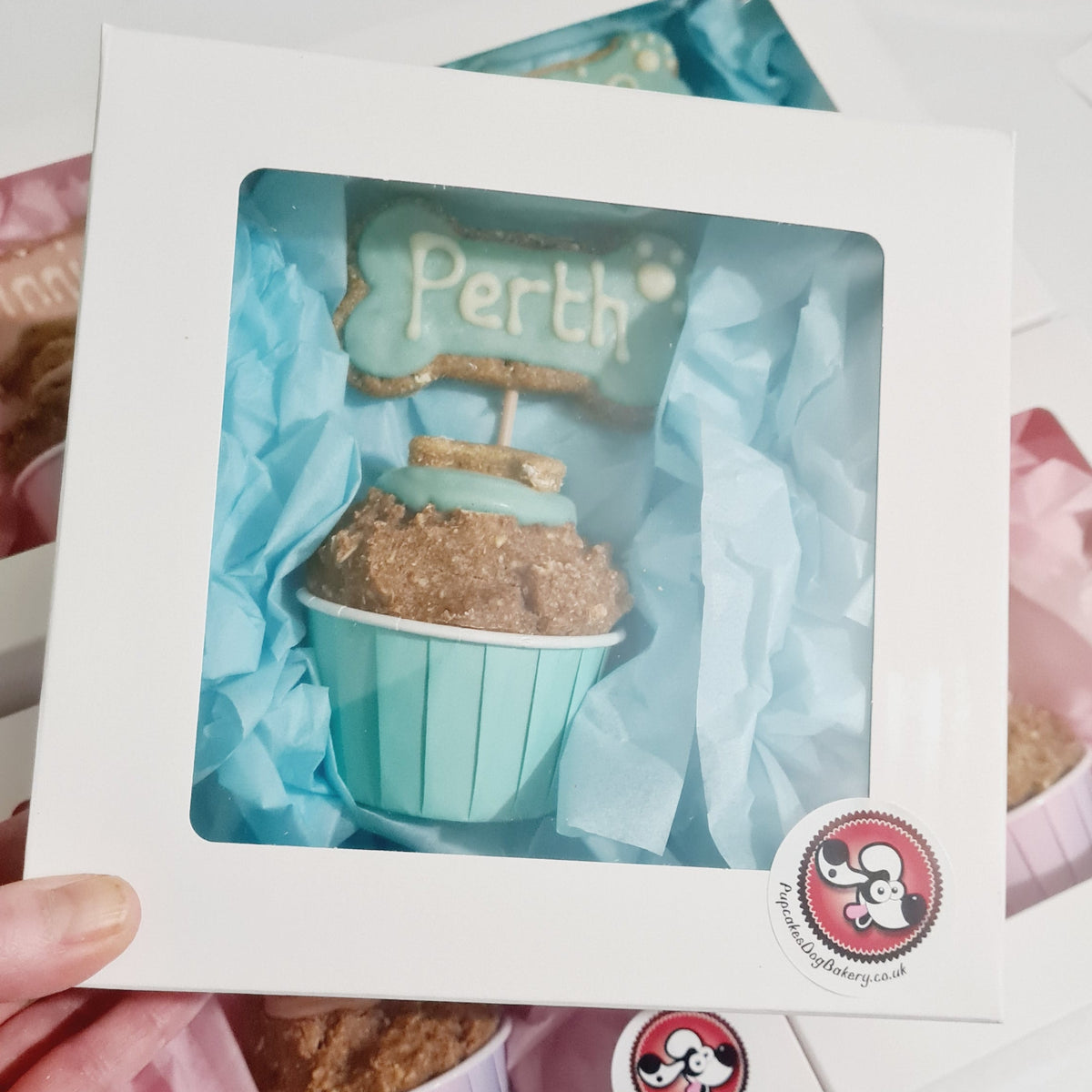 A hand holds a white gift box with a clear window displaying a decorated dog cupcake topped with a blue sign that says 'Perth'. Other similar boxes are stacked behind it on a white surface.
