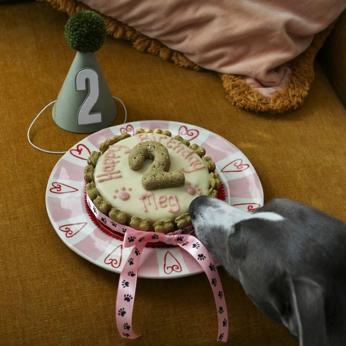 A small round pet cake with white dog friendly icing, a cookie number 2 on top, and the name 'Meg' written in icing, served on a pink heart-patterned plate. A gray dog is reaching toward the dog cake.