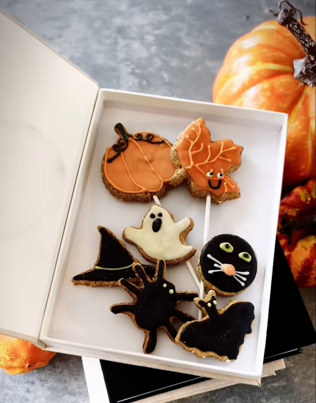 A set of Halloween-themed carob cookies displayed in an open white gift box, with pumpkins in the background. The cookies are shaped like a pumpkin, a maple leaf, a ghost, a bat, a cat face, and a spider, decorated with orange, black, white, and brown dog friendly  icing.