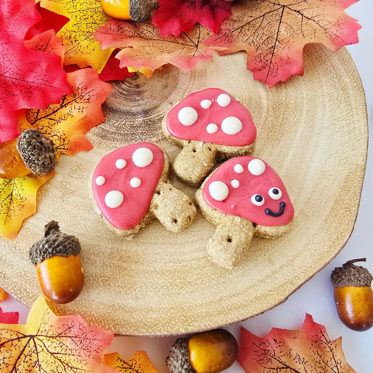 Three mushroom-shaped  dog cookies with red carob tops, white carob spots, and cute face details on tan cracker bottoms, arranged on a round wooden slice with autumn leaves and acorns around them.