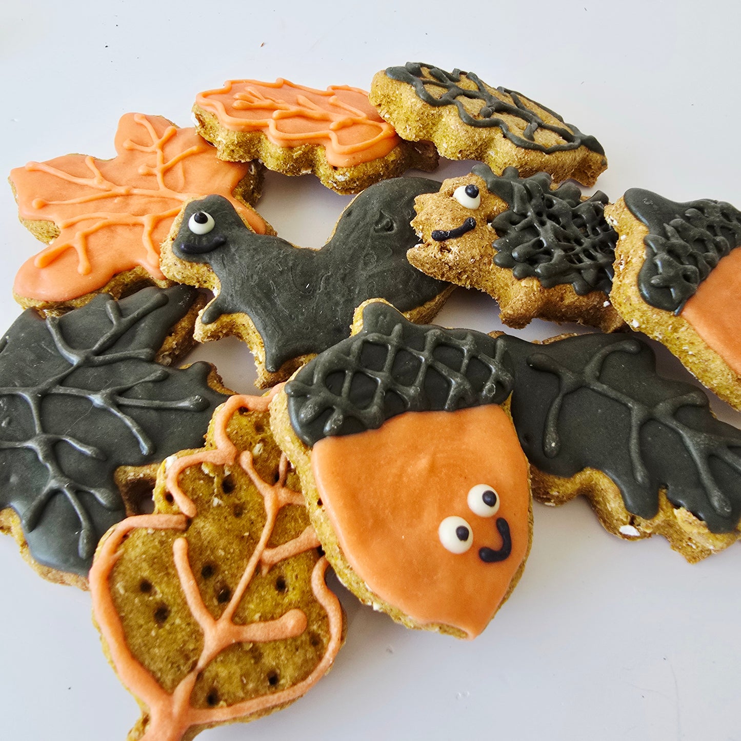Hand Made decorated autumn themed dog treats on a plain white background, including acorns, leaves and autumn leaf shapes in orange, black, and tan carob dog friendly icing