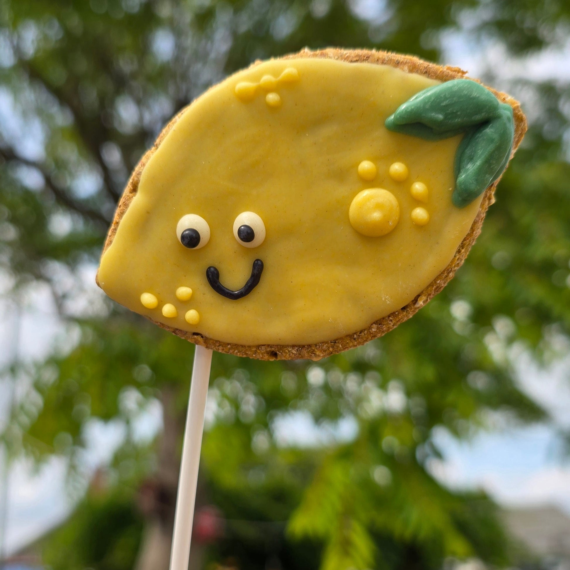Decorative  lemon cookie on a stick with a smiley face against a blurred green background