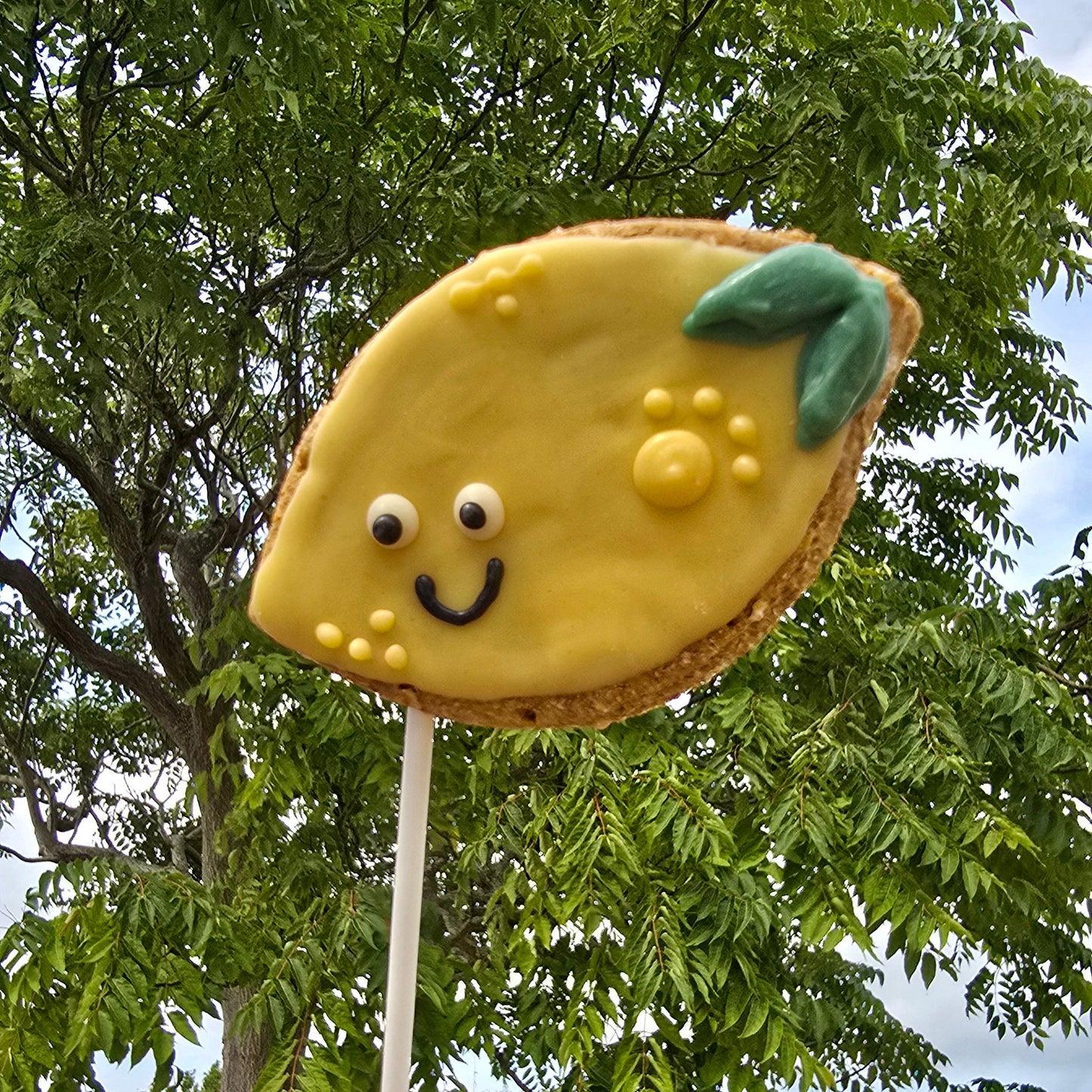 Lemon-shaped cookie on a stick with a face against a tree background