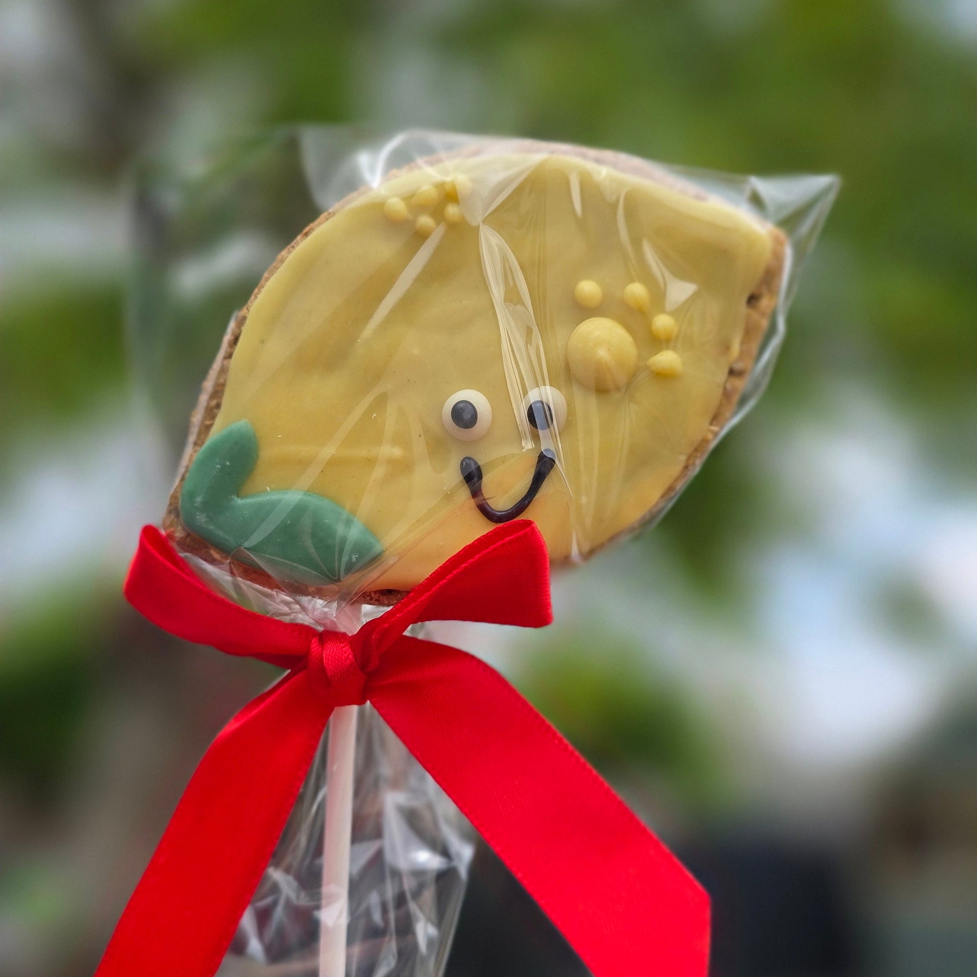 lemon -shaped cookie on a stick with a red ribbon held by a hand against a blurred green background