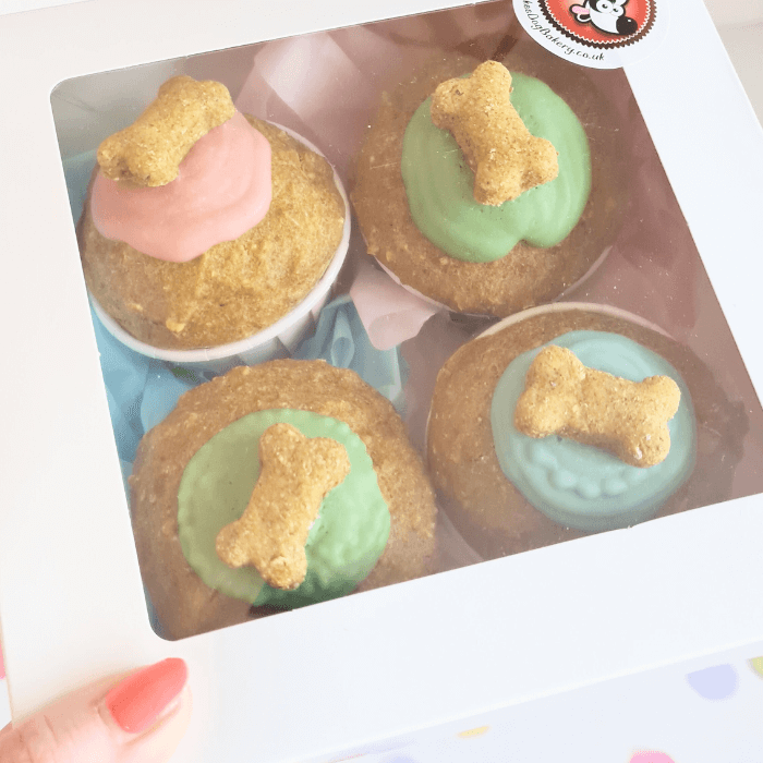 Doggie Cupcakes - Mixed - Box of 4
