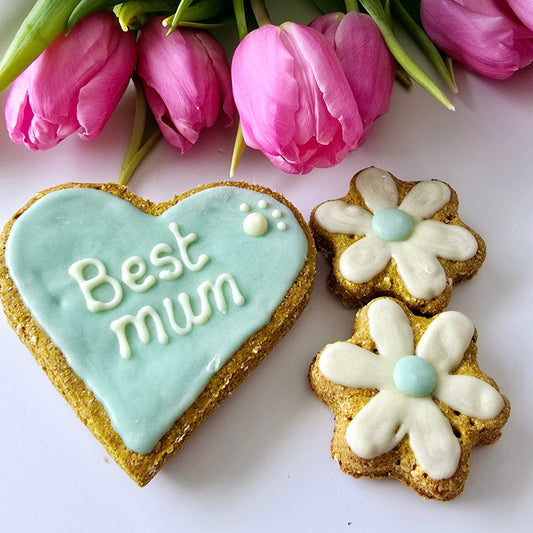 Best Mum Dog Treat set Blue