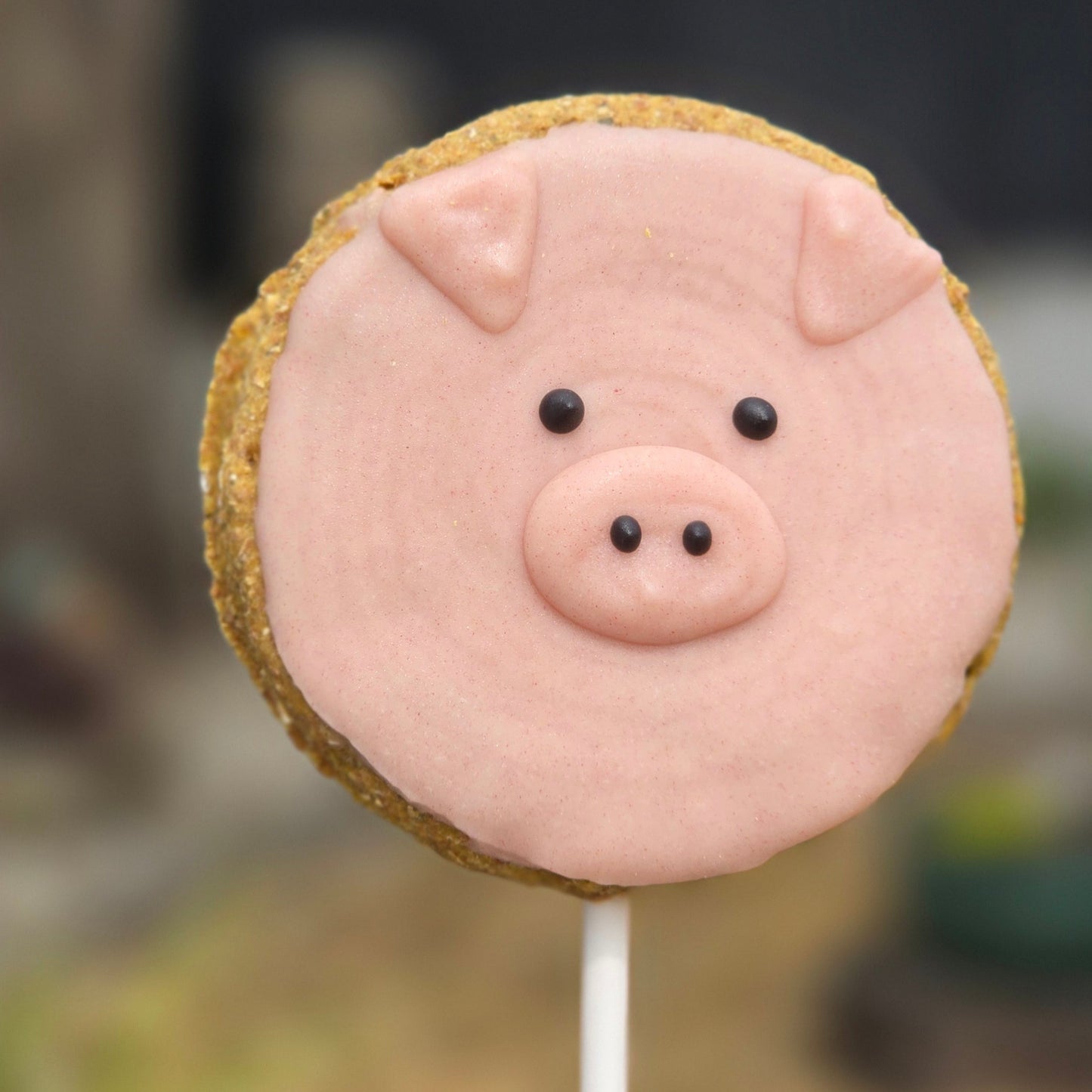 Piggy Pop