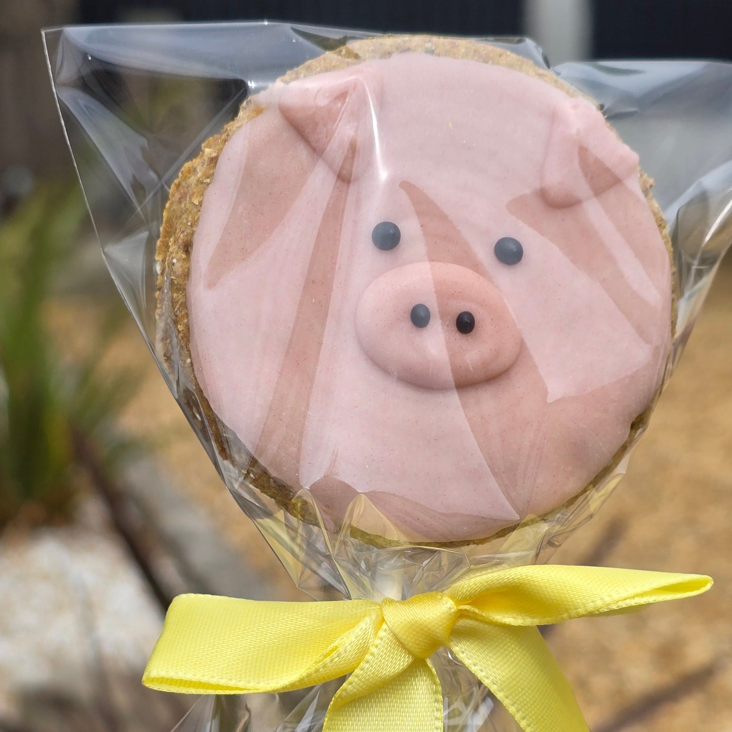 Piggy Pop