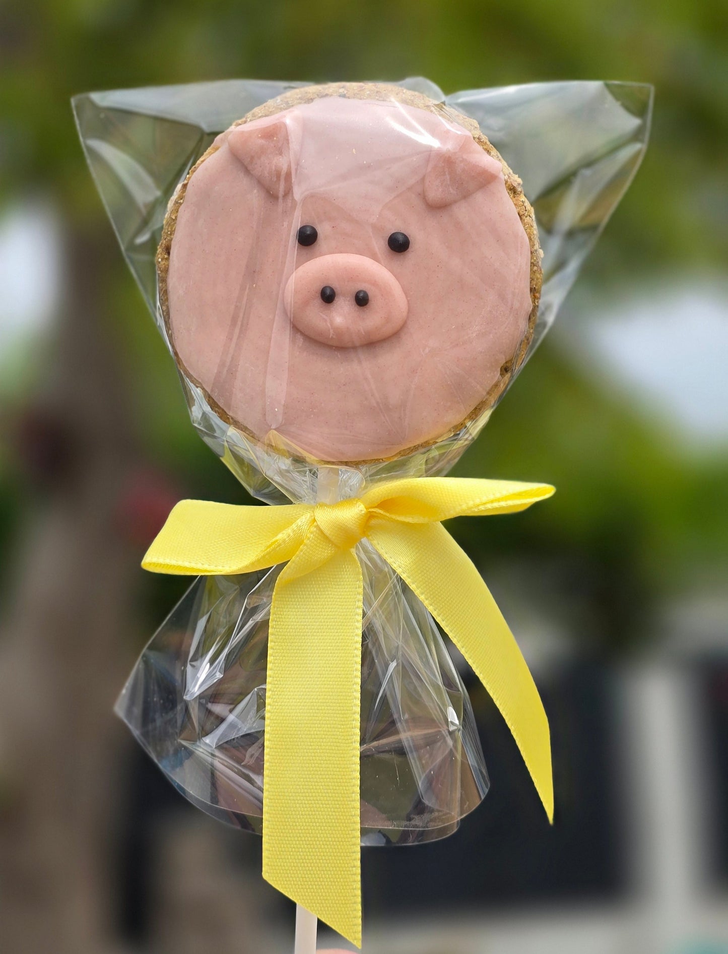 Piggy Pop