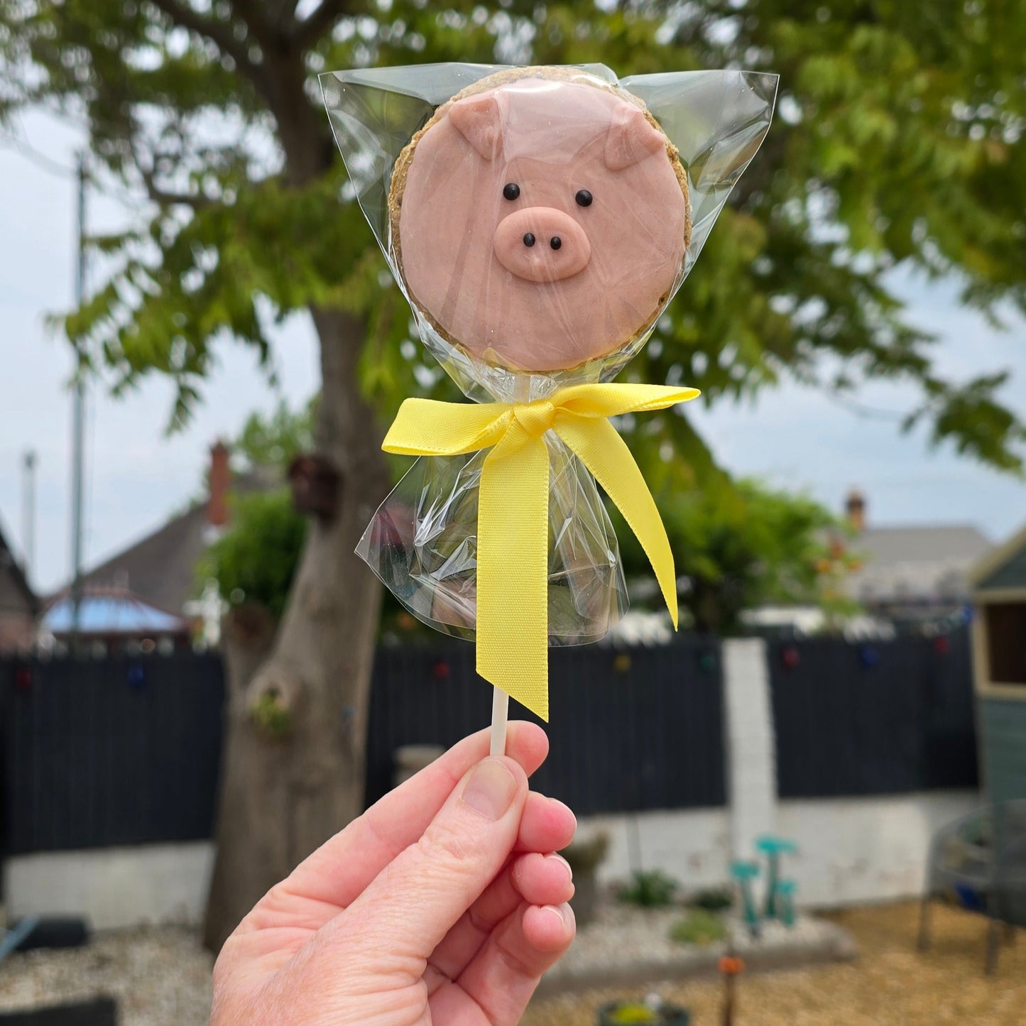 Piggy Pop